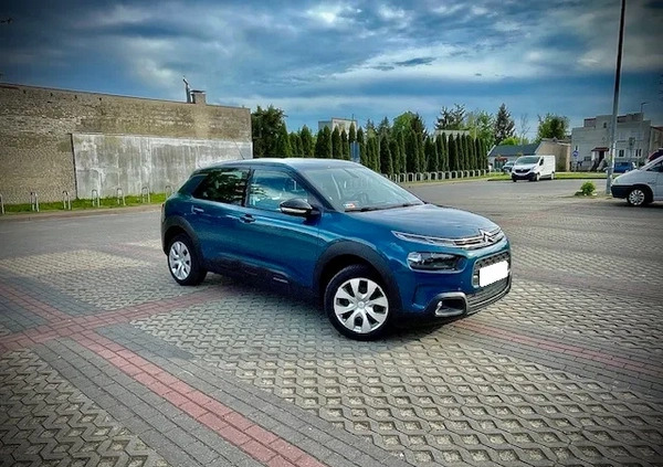 Citroen C4 Cactus cena 49815 przebieg: 55000, rok produkcji 2018 z Białogard małe 277